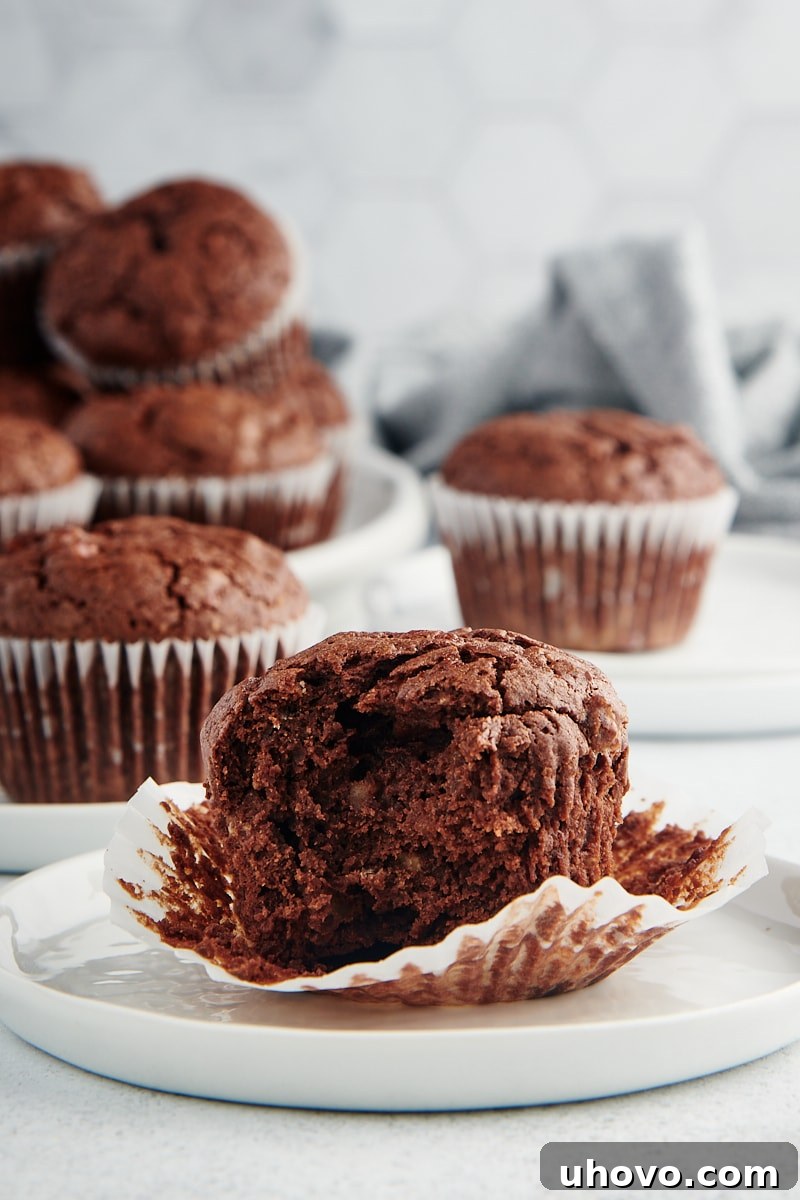 Brownie cupcake on plate with wrapper removed