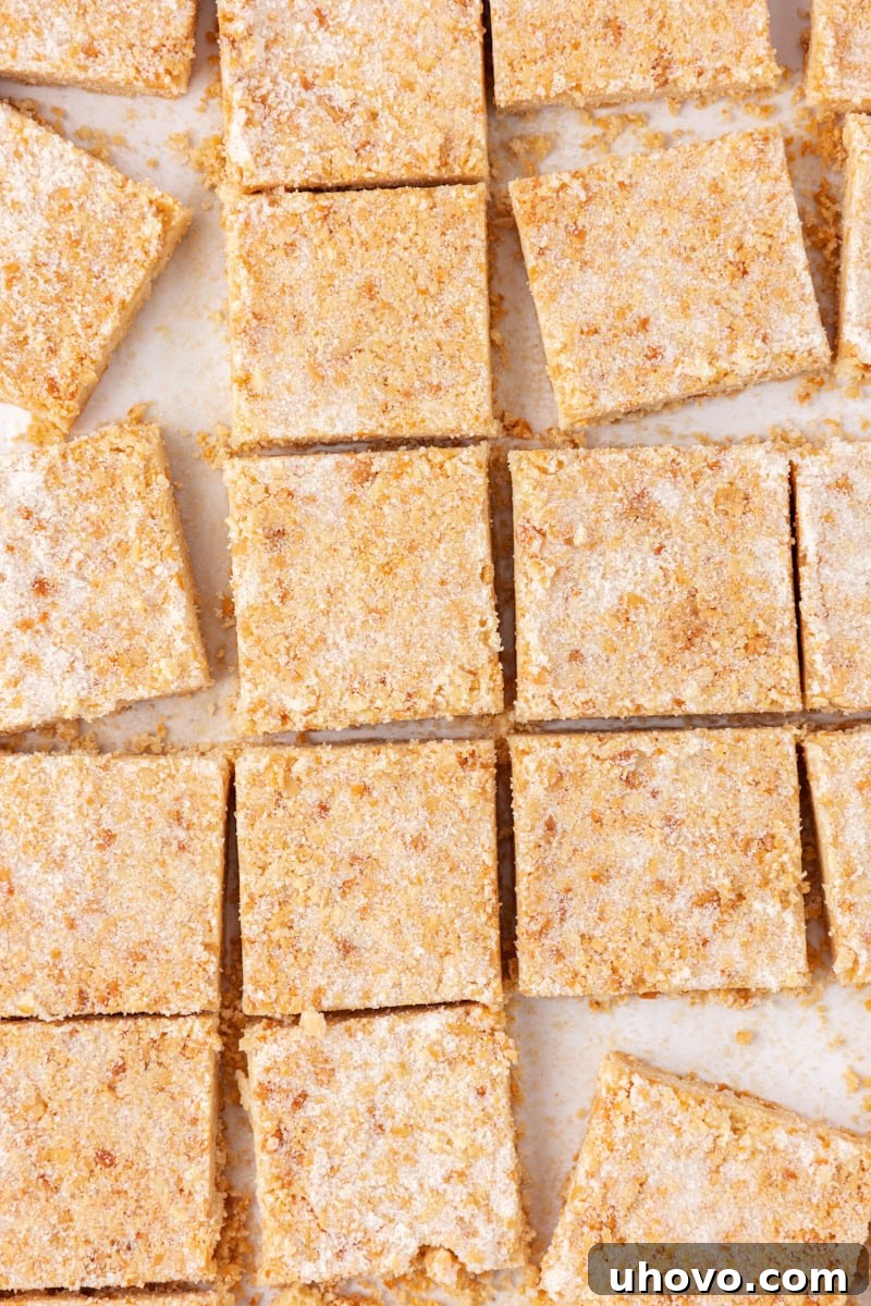 overhead view of macadamia shortbread cut into bars