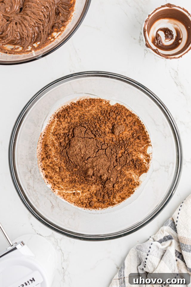 Overhead view of heavy cream, cocoa powder, and granulated sugar combined in a mixing bowl before whipping.