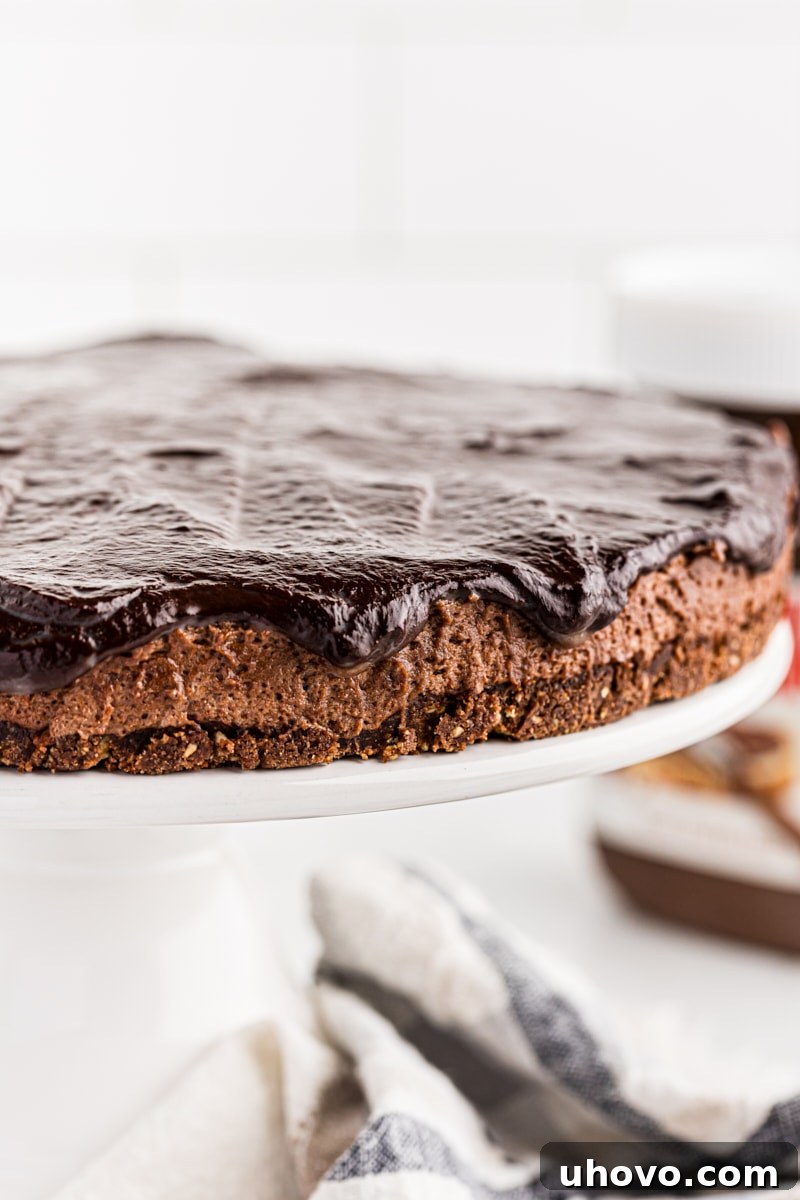 Beautifully glazed hazelnut mousse cake resting on an elegant cake stand, ready to be served.