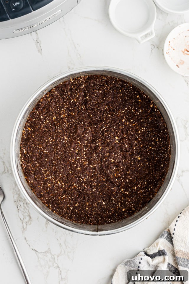 Overhead view of the chocolate hazelnut dough pressed firmly and evenly into the bottom of a springform pan.