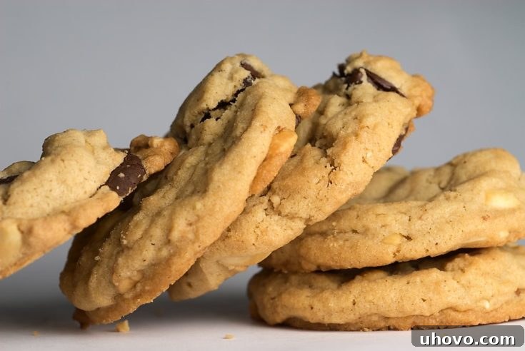 Perfectly baked Chocolate Chunk Peanut Cookies, ready to be enjoyed. A delightful blend of sweet and savory.