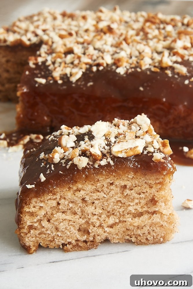 A perfectly sliced piece of Cinnamon Pudding Cake, showcasing its moist texture and rich sauce, resting on a sophisticated marble surface.