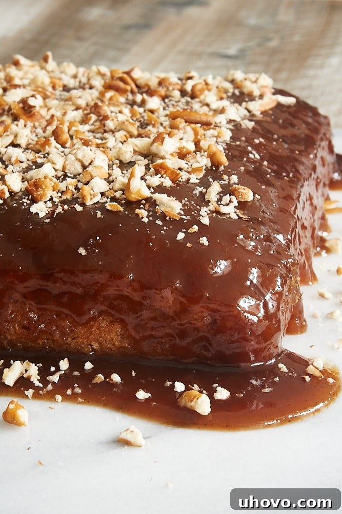 A warm, inviting Cinnamon Pudding Cake generously topped with chopped nuts, ready to be enjoyed.