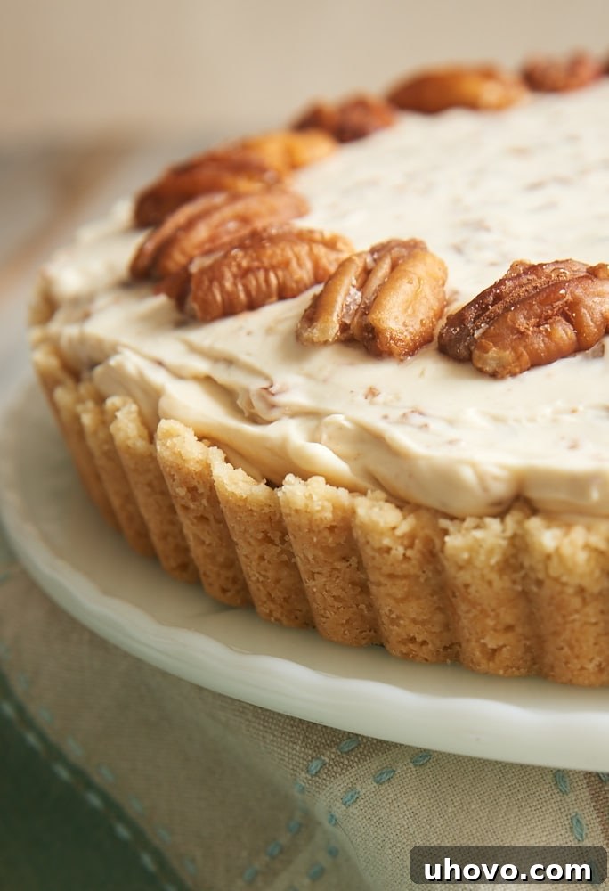 Butter Pecan Cheesecake topped with toasted pecans, showcasing its rich texture and enticing aroma.