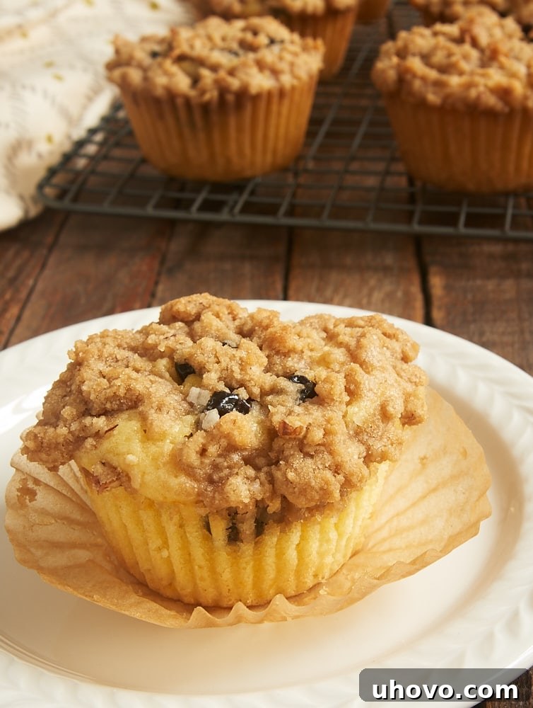 Ambrosia Muffins: A vibrant blend of coconut, pineapple, cherries, oranges, and nuts creates truly fantastic, flavor-packed muffins perfect for any occasion.