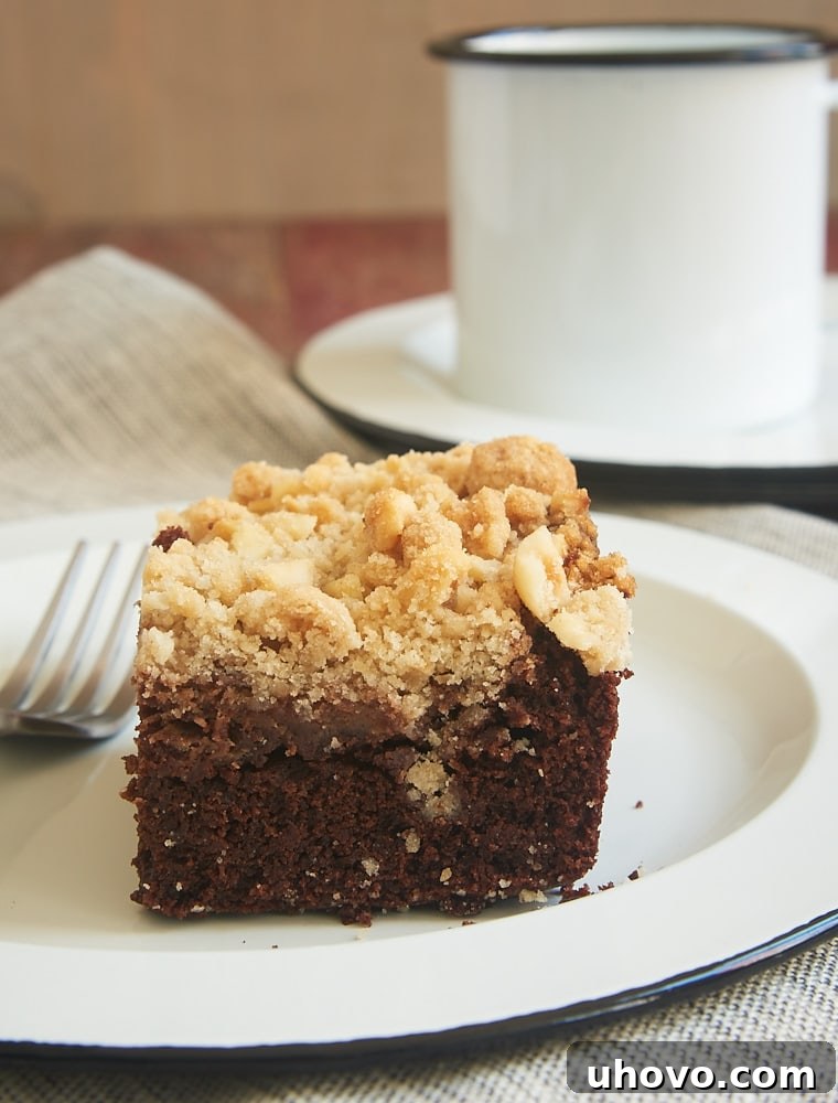 Indulgent Chocolate Cream Cheese Coffee Cake with a perfect swirl and crumb topping