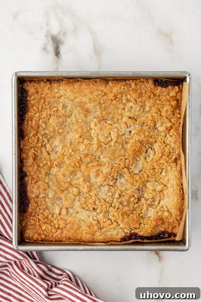 Overhead view of perfectly baked raspberry crumble bars in the pan, golden brown and ready to cool