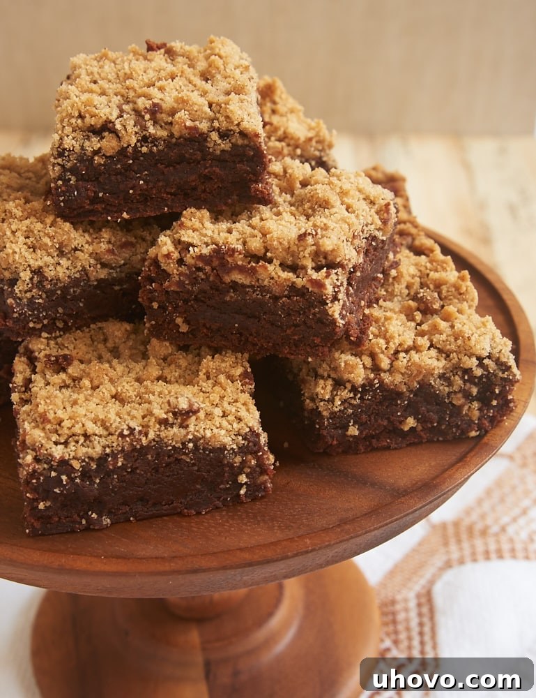 Fudgy Cinnamon Crumb Brownies with a delicious, buttery streusel topping on a baking sheet, showcasing their rich chocolate color and golden crumb.