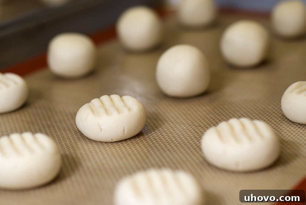 Chocolate Chip-Filled Melting Moments are light, delicate cookies filled with a sweet chocolate chip filling. Discover the joy of baking these exquisite sandwich cookies with our detailed guide.