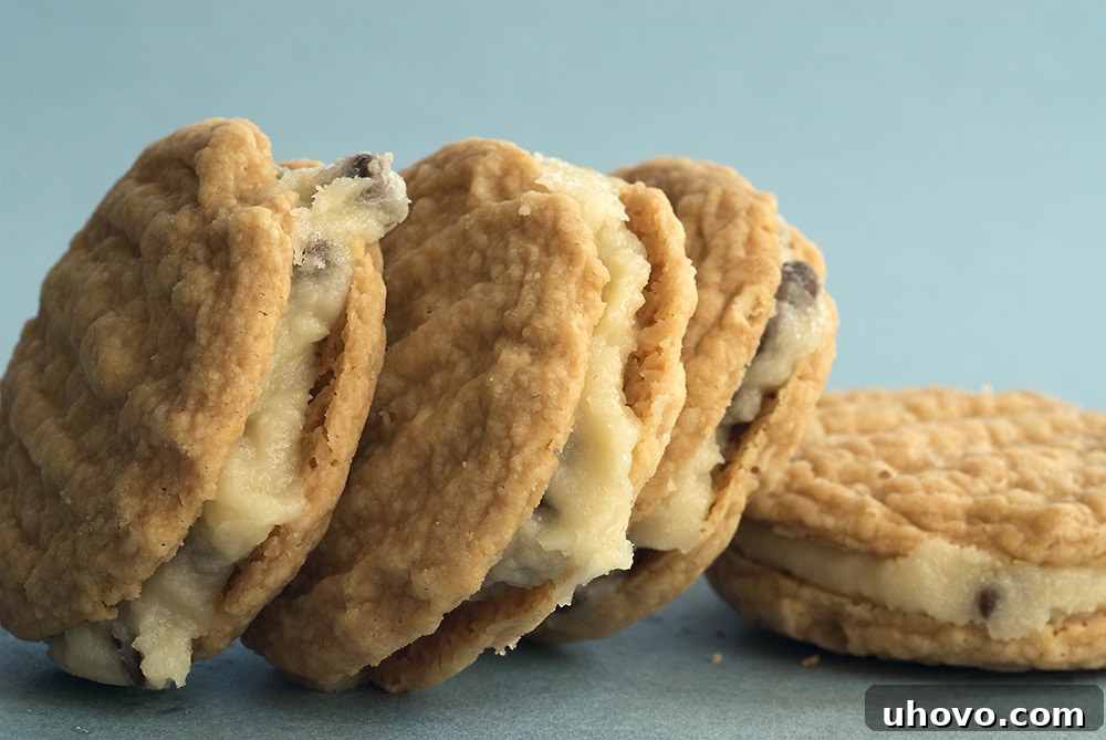 Chocolate Chip-Filled Melting Moments are wonderfully delicate and sweet, offering a perfect balance of texture and flavor. Learn tips for baking these classic sandwich cookies.