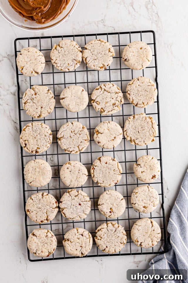 Baked cream cheese shortbread cookies cooling on a wire rack after being removed from the oven.