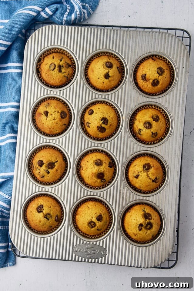 Overhead view of golden-brown chocolate chip muffins freshly baked and still in the muffin pan, resting on a wire rack, steam gently rising.