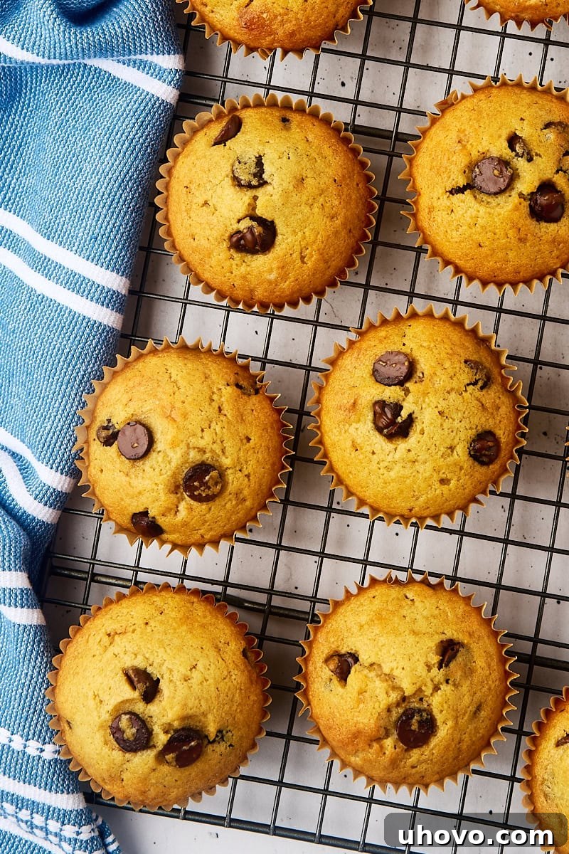A fresh batch of homemade chocolate chip muffins, perfectly domed and golden brown, cooling on a metal wire rack, showcasing their irresistible texture.