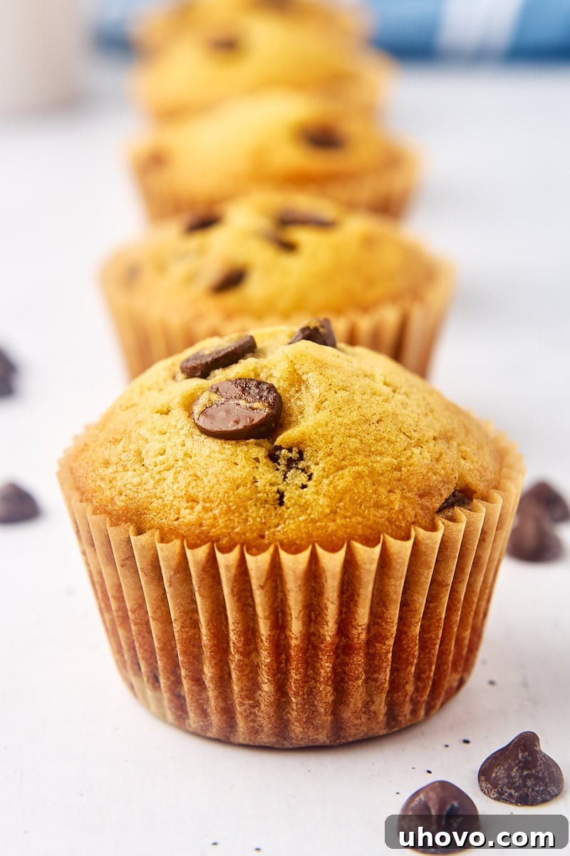 A row of perfectly baked chocolate chip muffins, some in parchment liners and some without, neatly arranged on a white countertop, highlighting the difference in their appearance.