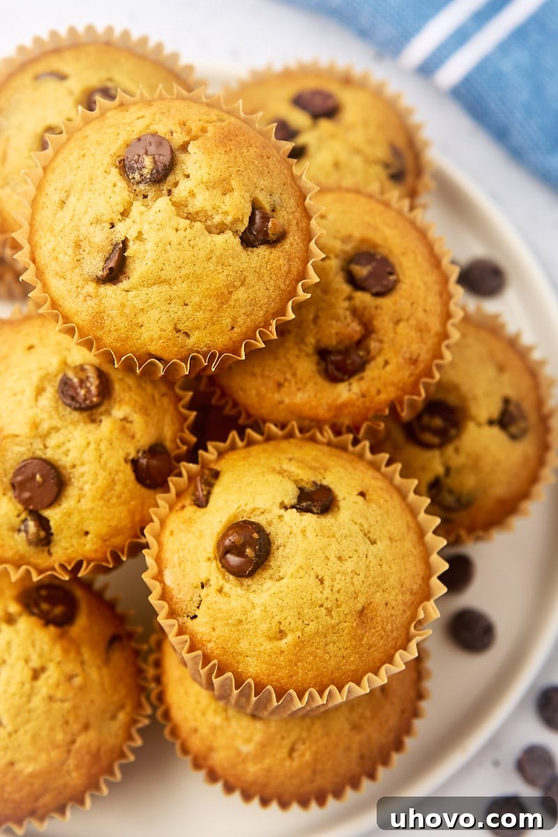 An inviting pile of freshly baked chocolate chip muffins arranged on a white plate, showcasing their golden domes and visible chocolate chunks, ready to be enjoyed.