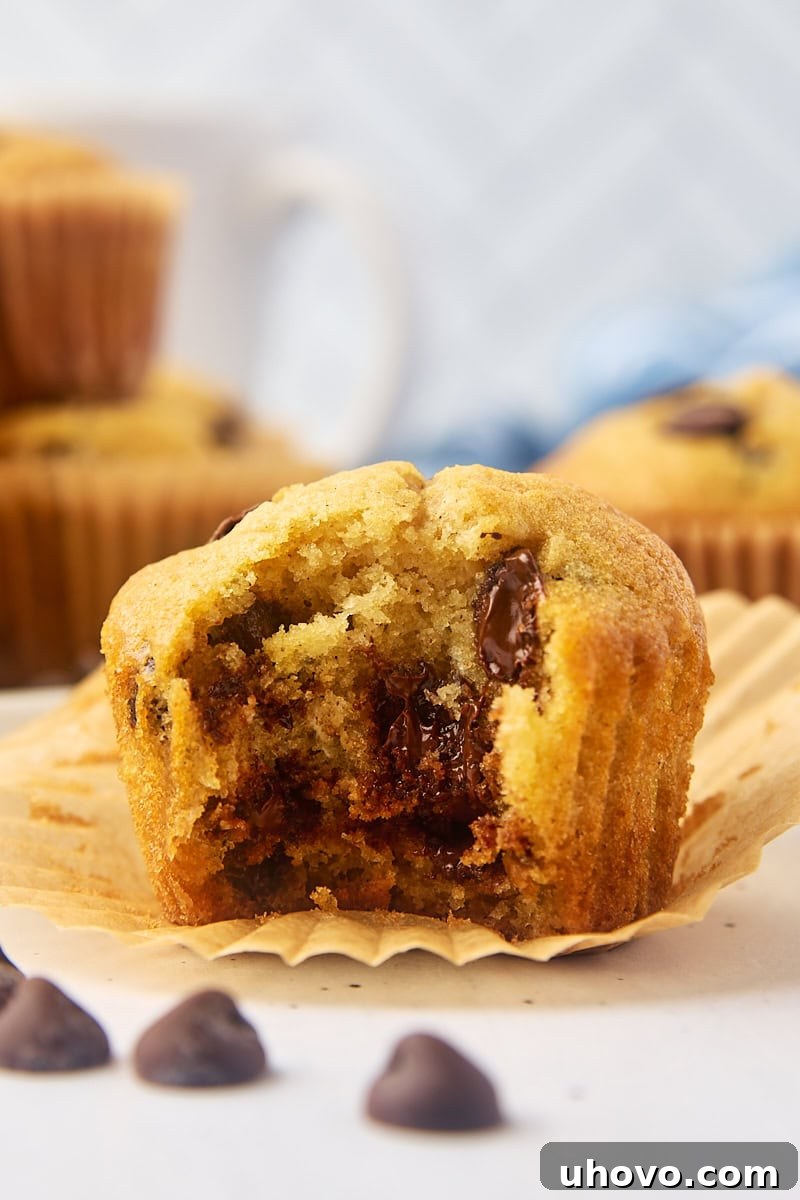 A close-up shot of a freshly baked chocolate chip muffin with a bite taken out, revealing its moist interior and generous chocolate chip distribution.