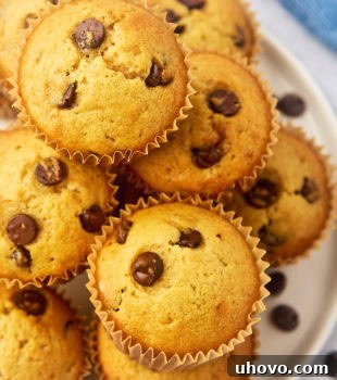 Overhead view of chocolate chip muffins piled high on a white plate, showcasing their golden tops and ample chocolate chips, ready for serving.