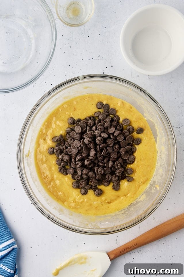 Overhead shot of rich semisweet chocolate chips being generously folded into the chocolate chip muffin batter in a glass mixing bowl, ensuring even distribution.