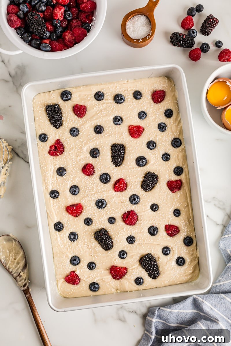 Overhead view of berry vanilla cake in pan before baking