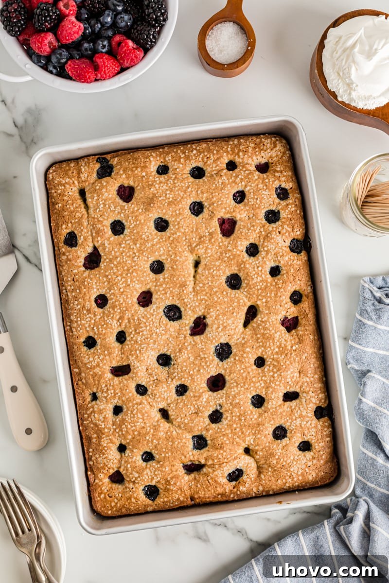 Overhead view of berry vanilla cake in pan with bowl of berries and whipped cream