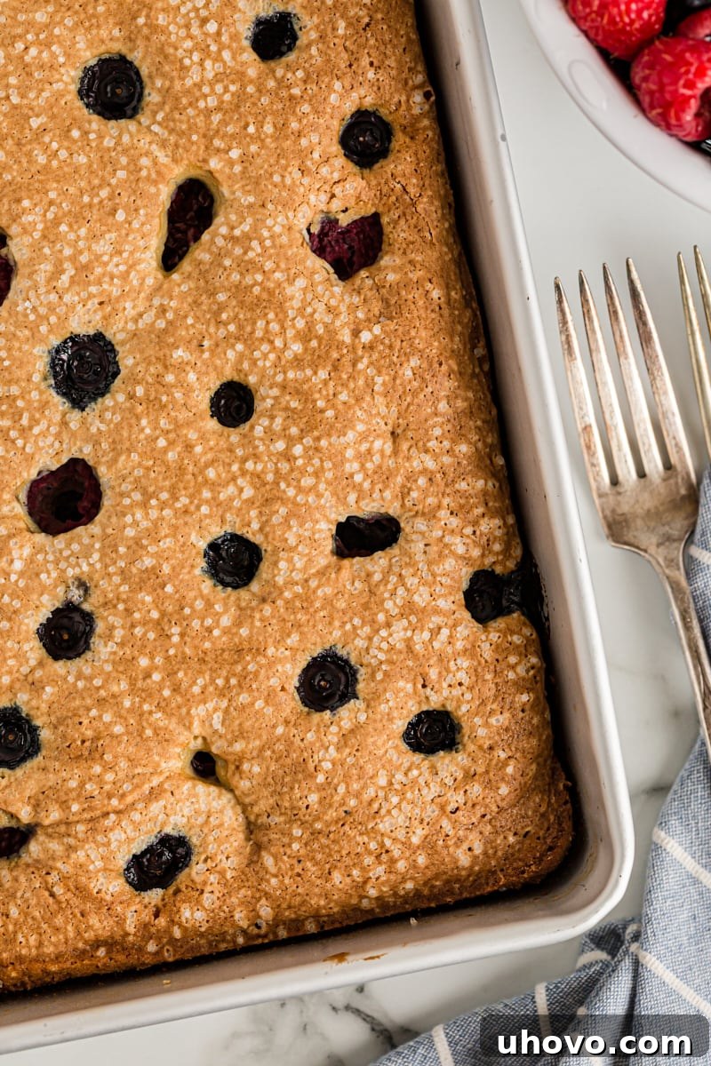 Overhead view of berry vanilla cake in pan