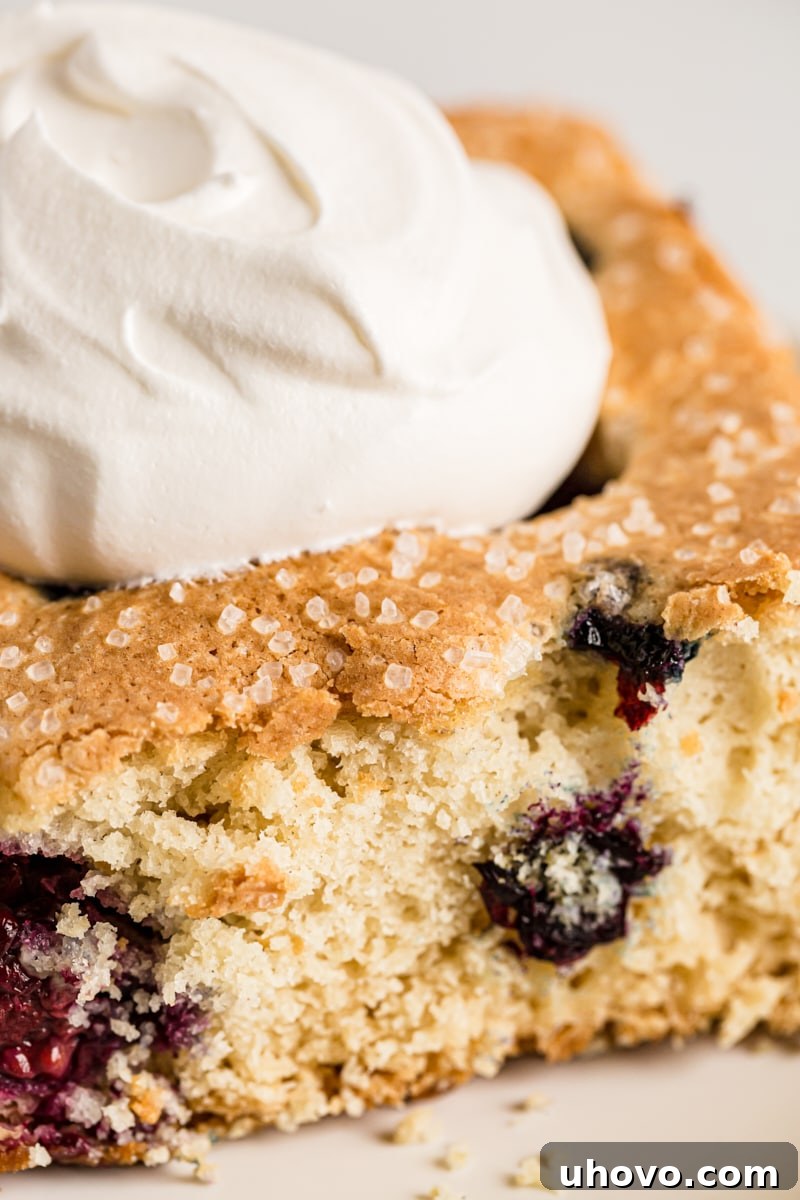 Closeup of berry vanilla cake topped with whipped cream