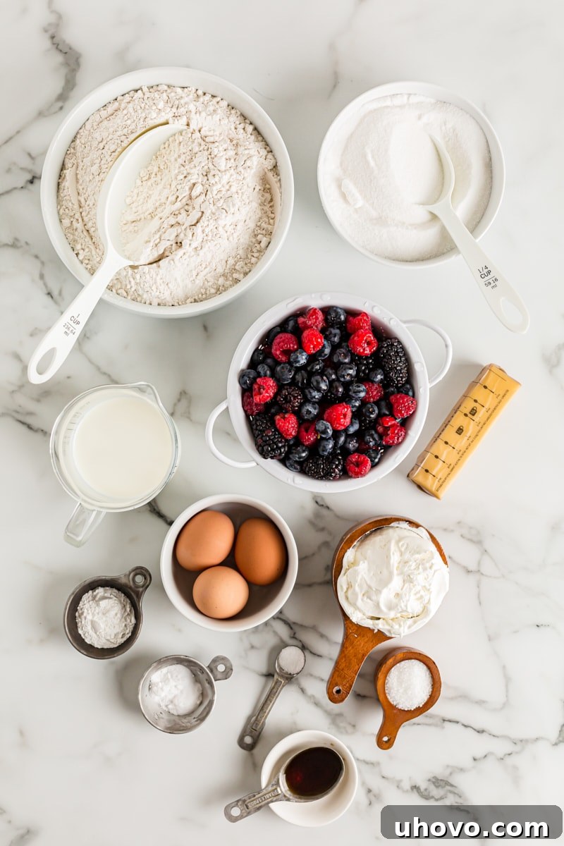 Overhead view of berry vanilla cake ingredients