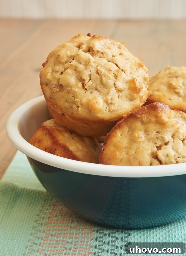 A cluster of golden brown Coconut Cream Cheese Oat Muffins nestled in a rustic blue bowl, showcasing their fluffy texture and hints of toasted coconut on top.