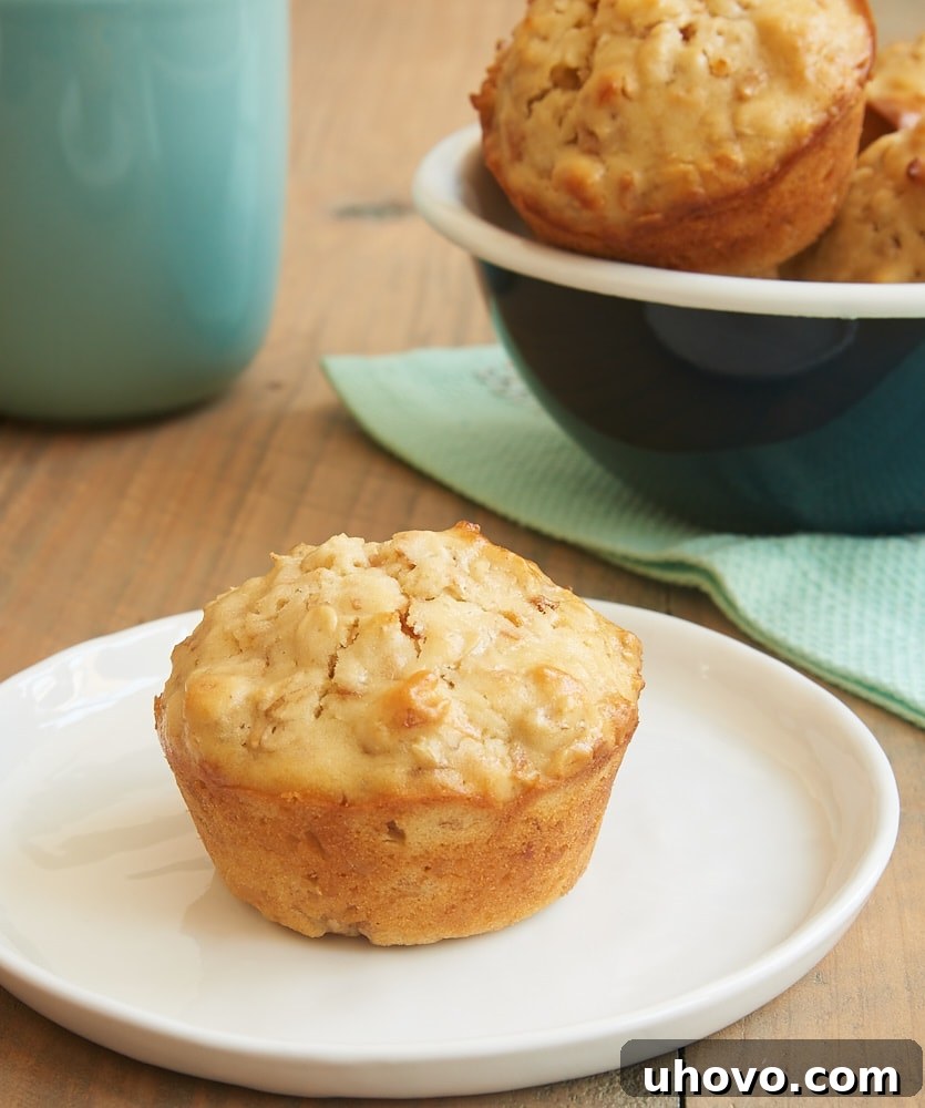 A single Coconut Cream Cheese Oat Muffin, perfectly golden brown with visible oats and toasted coconut, resting on a pristine white plate, inviting a bite.