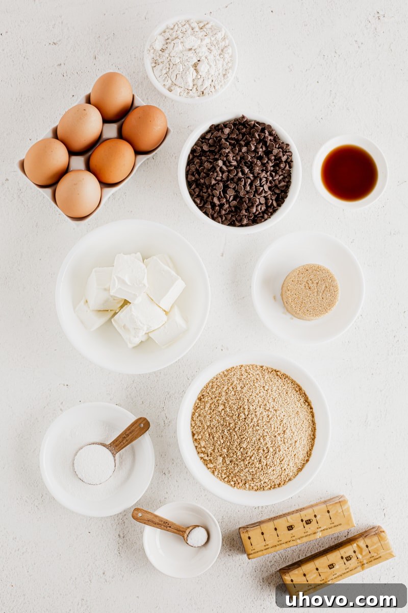 Overhead view of chocolate chip cookie dough cheesecake bar ingredients