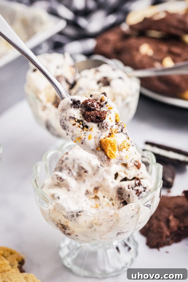 A close-up of a spoon holding a bite of All the Cookies Ice Cream, with a bowl of the ice cream visible in the soft background.