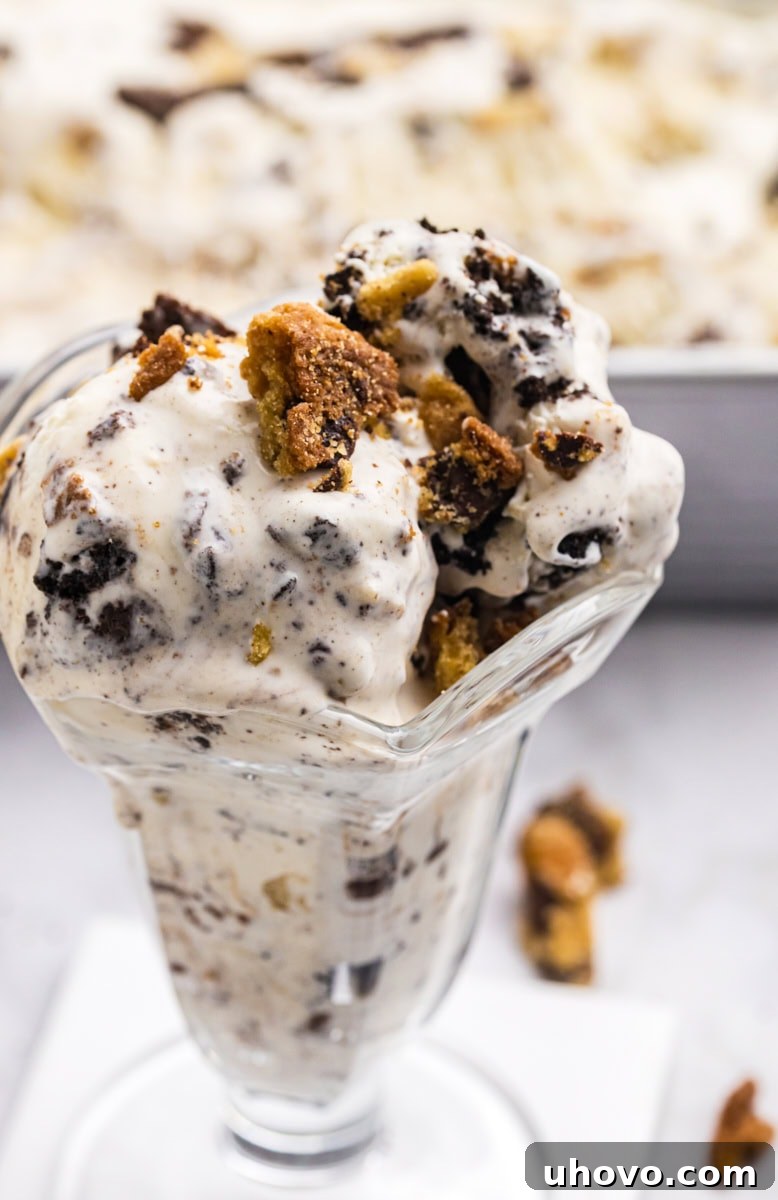 A serving of All the Cookies Ice Cream presented elegantly in a glass, with the remaining ice cream in its container blurred in the background, creating depth.