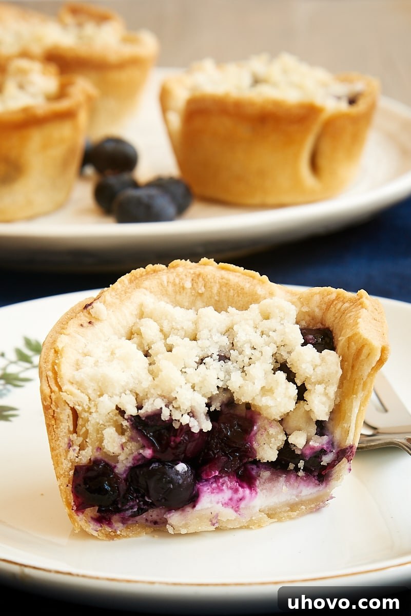 A mini blueberry cream cheese pie, cut in half on a white plate, showcasing its distinct layers of flaky crust, creamy white cream cheese, and rich purple blueberry filling.