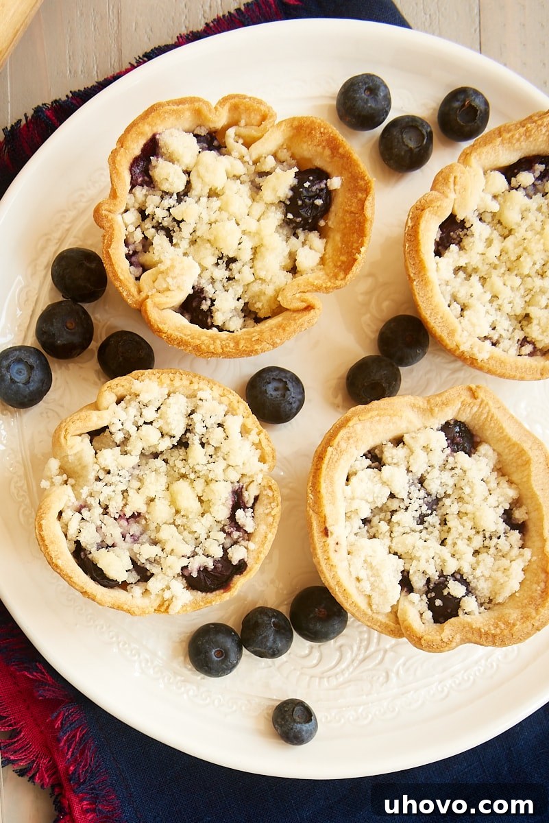 An overhead view of several mini blueberry cream cheese pies arranged neatly on a plate, showing their golden crumb topping and individual perfection.