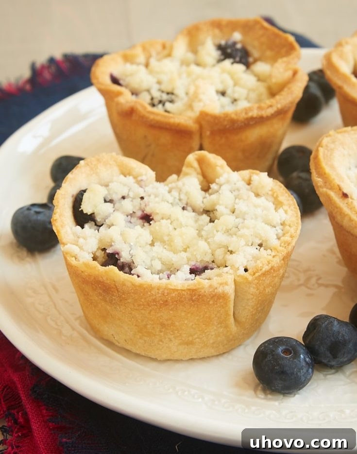 Closeup of mini blueberry cream cheese pies on plate