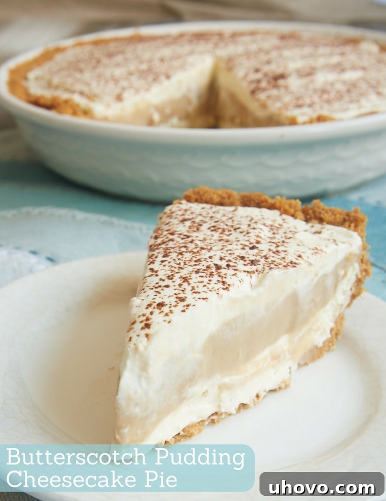 Homemade butterscotch pudding combines with a fluffy, no-bake cheesecake in this delightful Butterscotch Pudding Cheesecake Pie. It's so cool, creamy, and irresistible! - Bake or Break