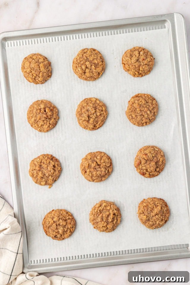 Overhead view of freshly baked toffee almond oatmeal cookies cooling on a baking sheet, golden brown around the edges.