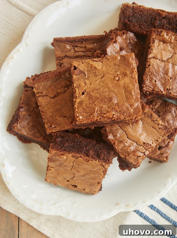 An overhead view of perfectly cut Milk Chocolate Brownies on a white plate, ready to be enjoyed.