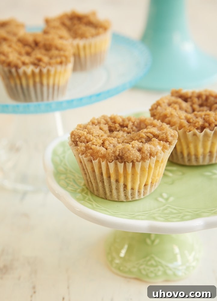 Irresistibly delicious Mini Cinnamon Crumb Cheesecakes, perfect for any occasion.