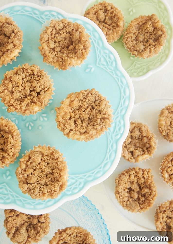 A tray of freshly baked Mini Cinnamon Crumb Cheesecakes with golden-brown crumb topping.