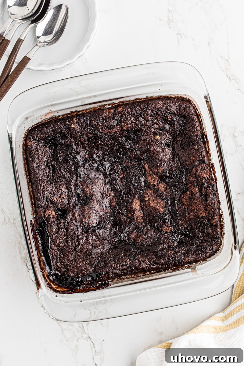 A glorious overhead view of the freshly baked chocolate cobbler in a glass baking dish, its cake-like top lightly cracked and golden, with hints of the rich chocolate sauce bubbling beneath.
