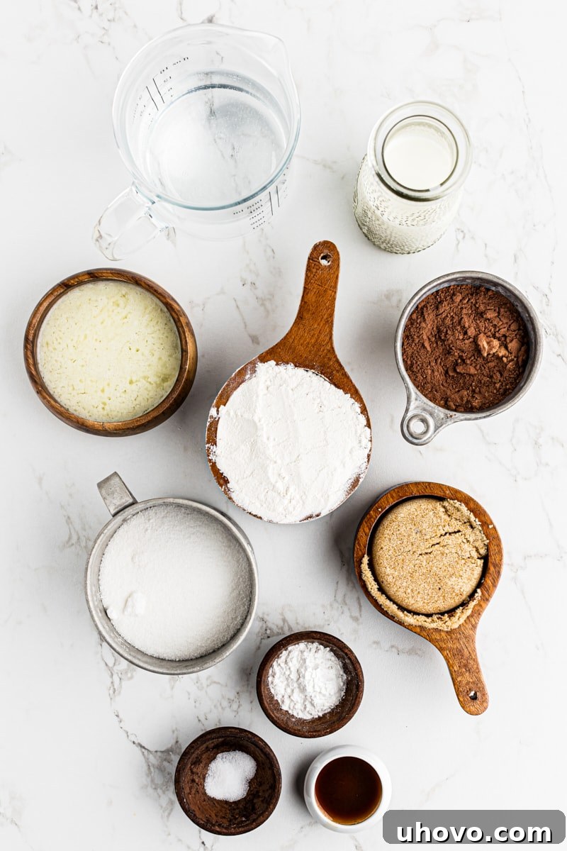 A top-down view of all the simple ingredients laid out for making chocolate cobbler, including flour, sugar, cocoa powder, milk, butter, and vanilla extract.