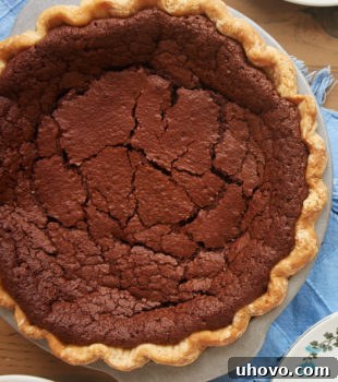 Whole chocolate chess pie in pie dish