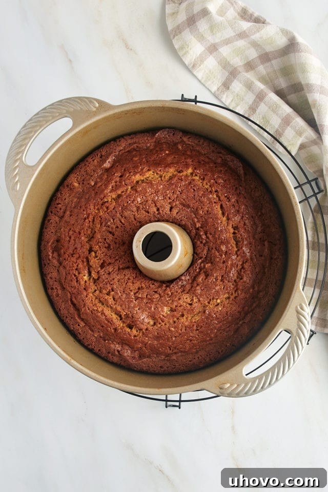 Overhead view of pear bread in pan on wire rack
