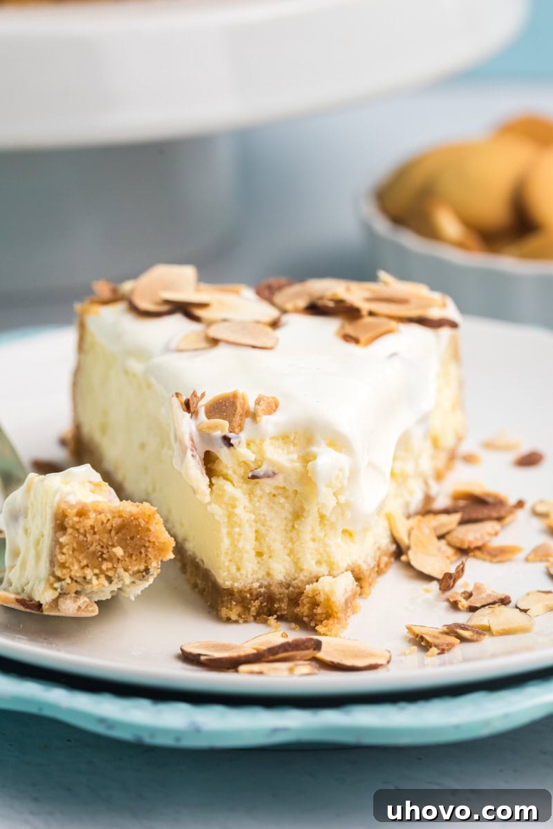A sumptuous slice of Amaretto Cheesecake presented on a pristine white plate, elegantly topped with golden toasted almonds and a velvety sour cream layer, revealing its rich, smooth texture and perfectly baked crust.