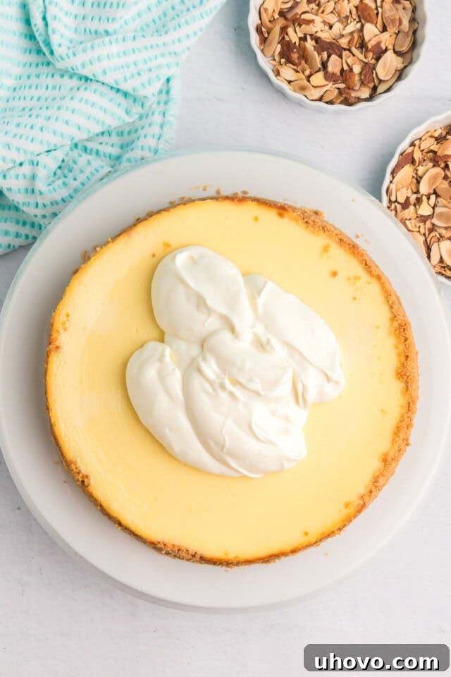 Overhead view of a finished Amaretto Cheesecake, covered with a smooth, even layer of sour cream topping, with toasted almond slivers sprinkled generously on top, creating a beautiful contrast.