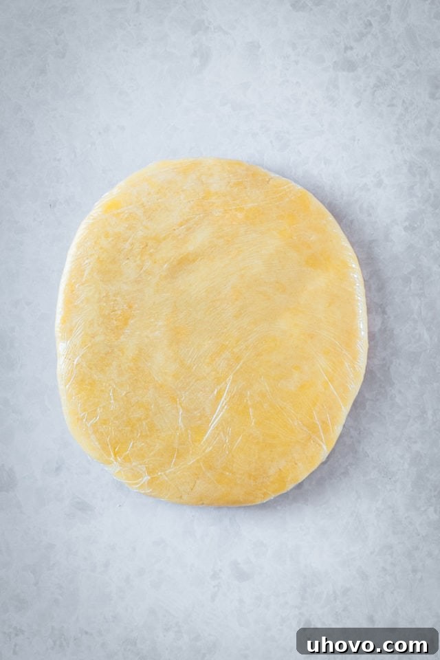Overhead view of pastry crust before rolling