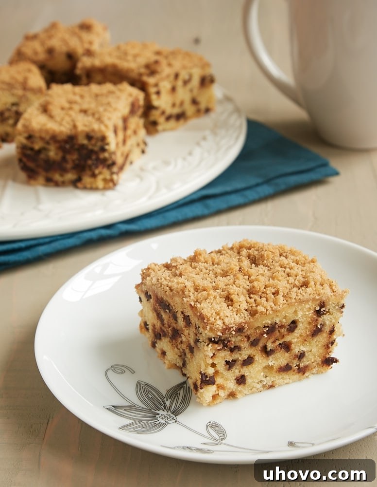 A perfectly sliced Chocolate Chip Crumb Cake, showcasing its moist texture and abundant chocolate chips, resting on a white plate, ready to be enjoyed as a delightful treat.