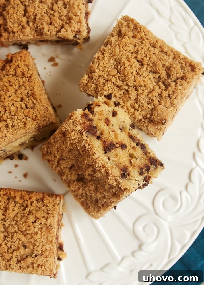 An inviting overhead view of a freshly baked Chocolate Chip Crumb Cake on a white serving platter, highlighting the golden crumb topping and rich chocolate chips peeking through, ready to be shared.